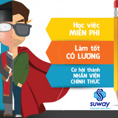 Tầm quan trọng của việc đi thực tập đối với sinh viên Đại học và những kỹ năng cần tích lũy